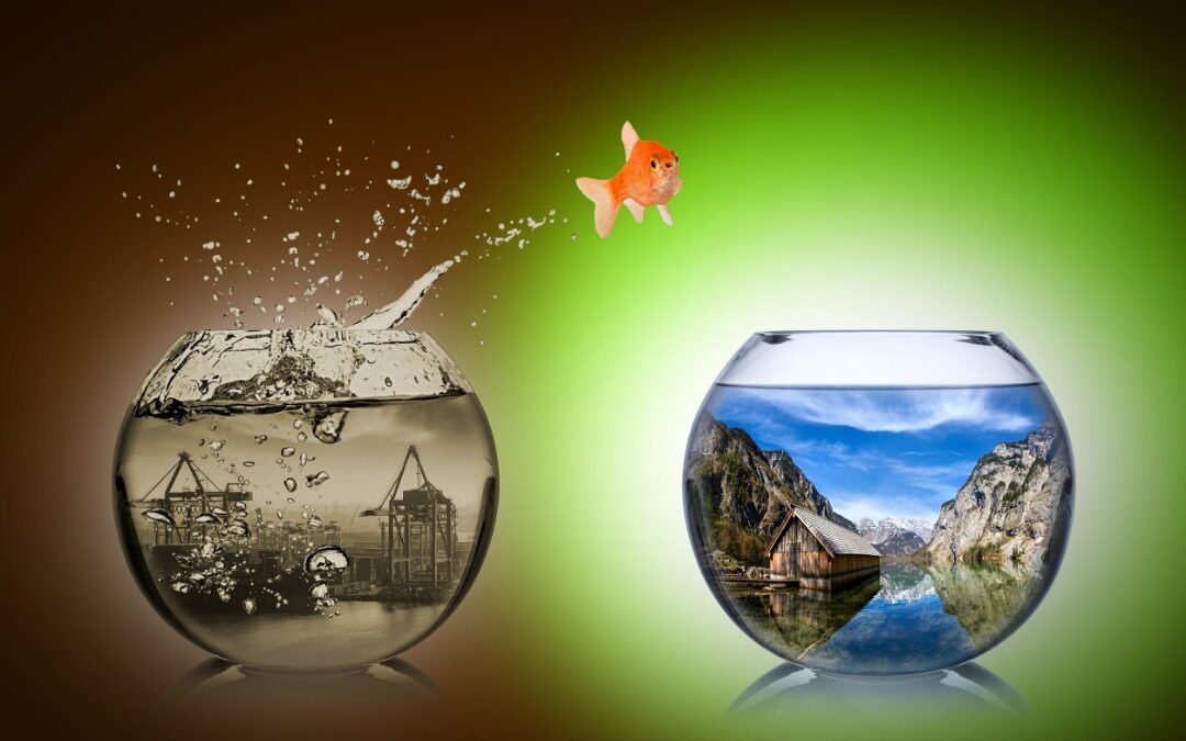 Charting A New Business Path In Time Of Uncertainty Through Adaptability