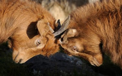 Competition is Nothing (Part 1)